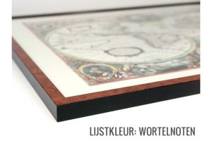 Lijstkleur wortelnoten