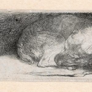 Rembrandt Slapende Hond