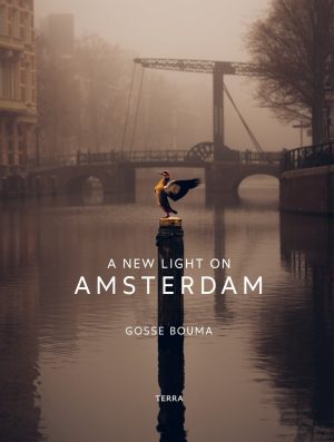 A new light on amsterdam